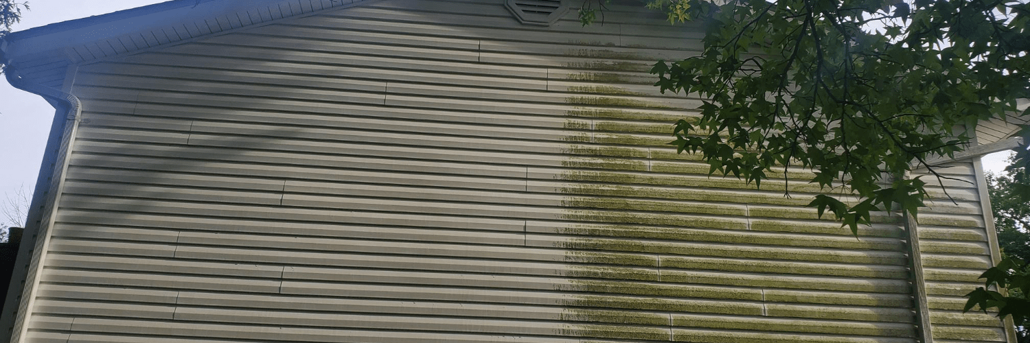 algae removal from siding with pressure washing